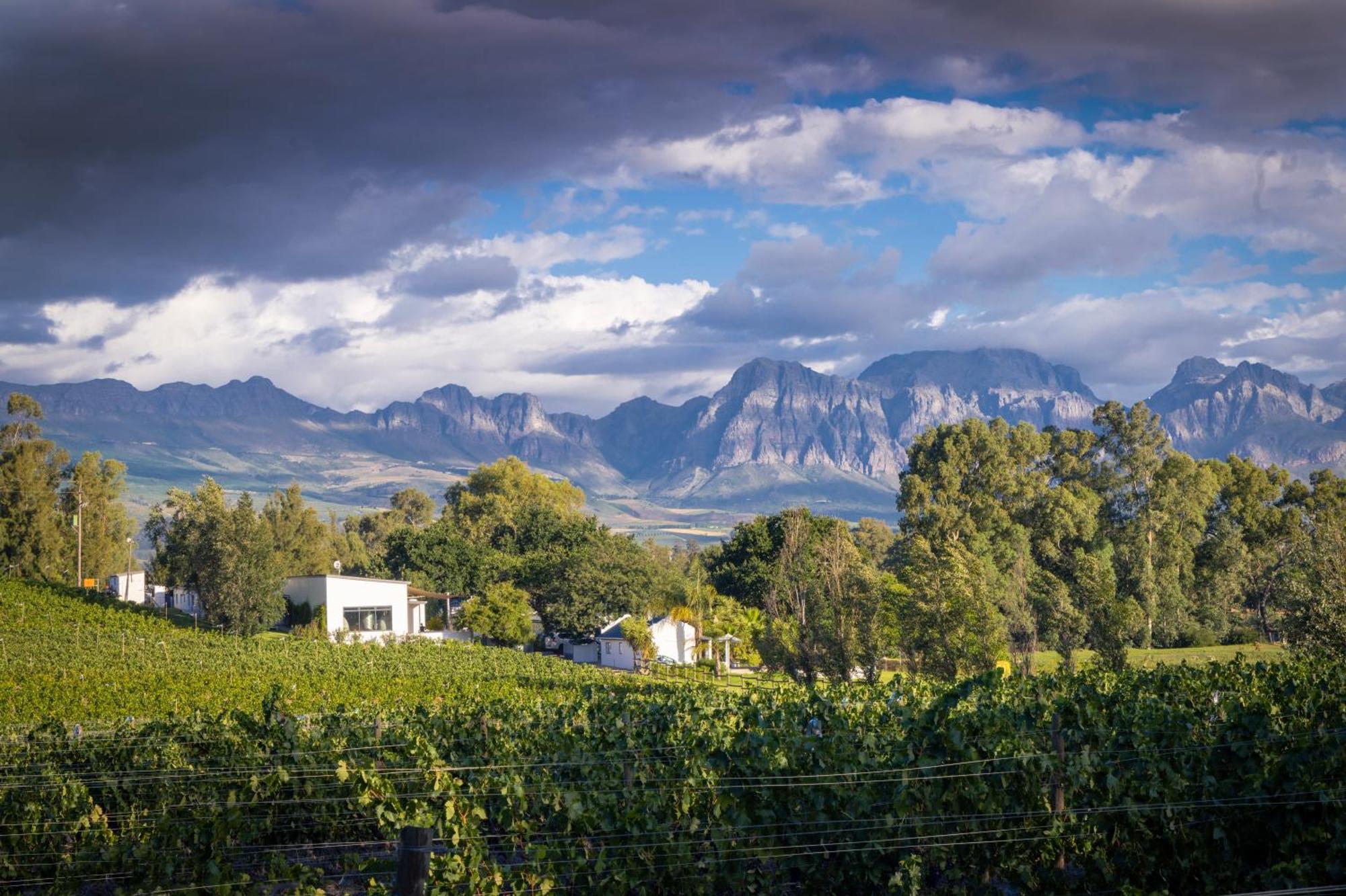 Hotel Tempel Wines Paarl Esterno foto