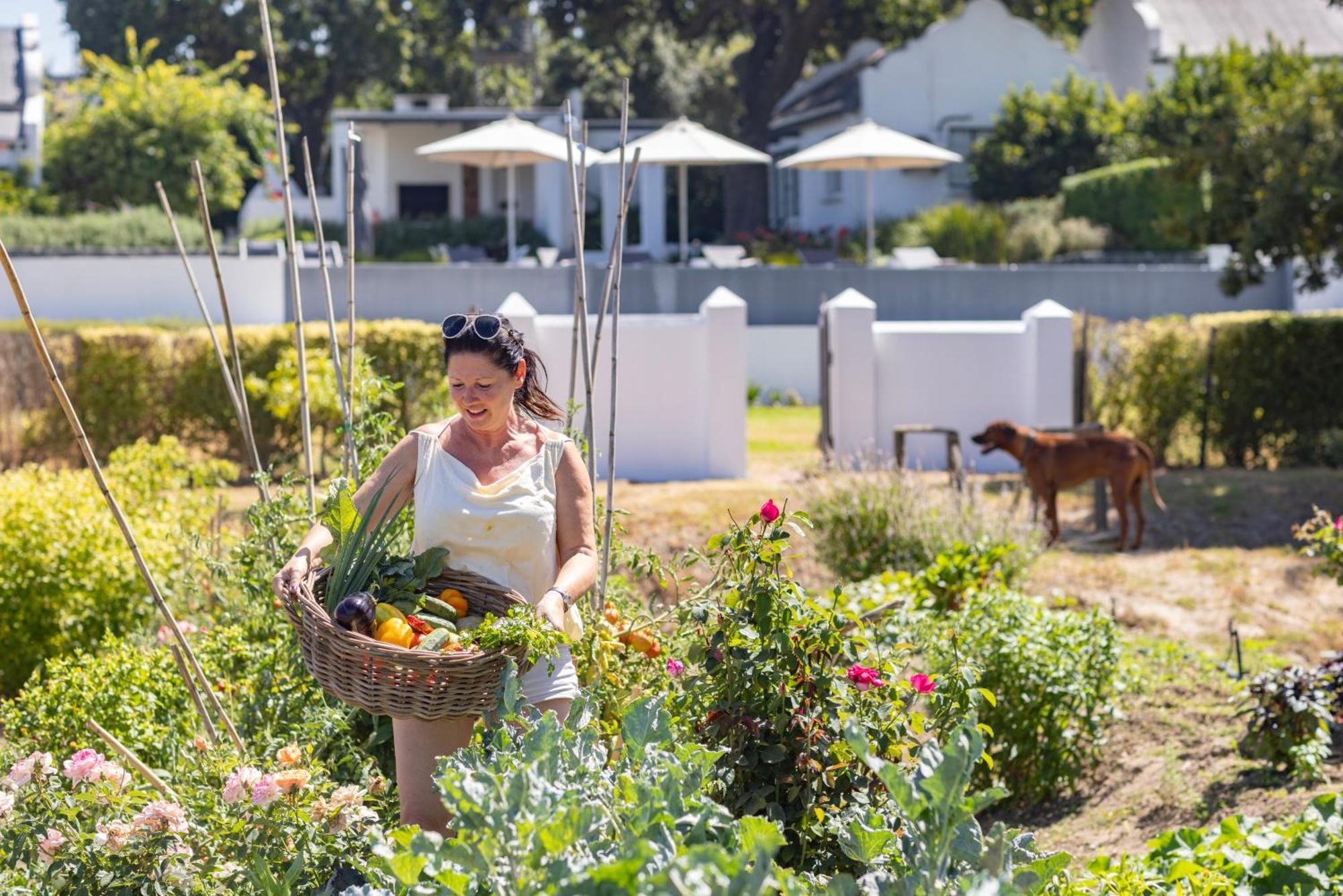 Hotel Tempel Wines Paarl Esterno foto